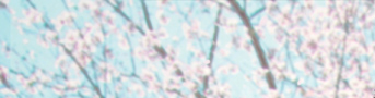 SP